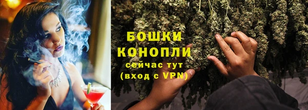 таблы Осинники