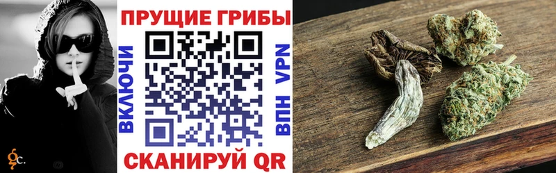 купить  сайты  мориарти какой сайт  Галлюциногенные грибы прущие грибы  Сосновоборск 